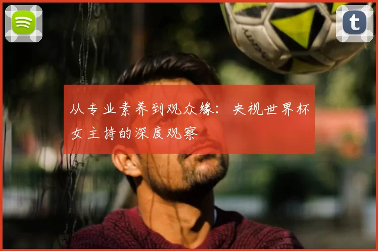从专业素养到观众缘:央视世界杯女主持的深度观察