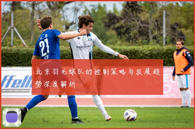 北京羽毛球队的控制策略与发展趋势深度解析