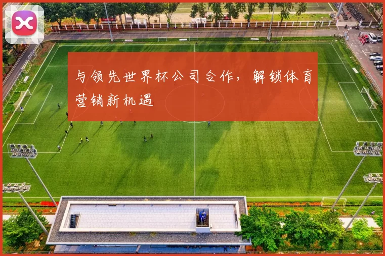 与领先世界杯公司合作，解锁体育营销新机遇