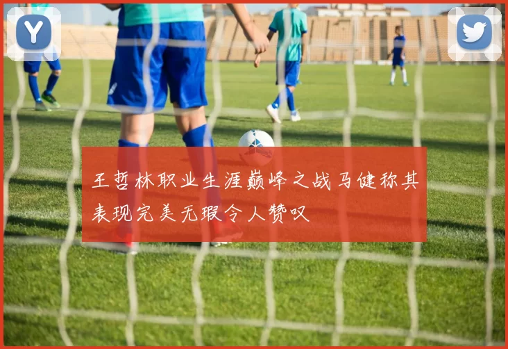 王哲林职业生涯巅峰之战马健称其表现完美无瑕令人赞叹