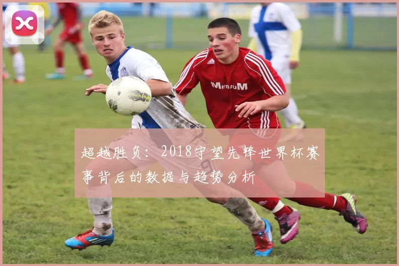 超越胜负：2018守望先锋世界杯赛事背后的数据与趋势分析