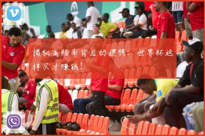揭秘高赔率背后的逻辑:世界杯这样买才赚钱!