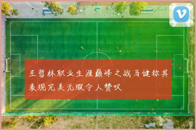 王哲林职业生涯巅峰之战马健称其表现完美无瑕令人赞叹