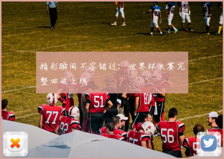 精彩瞬间不容错过:世界杯决赛完整回放上线