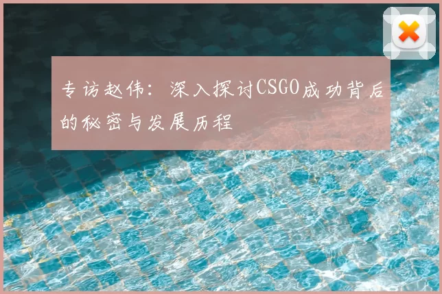 专访赵伟：深入探讨CSGO成功背后的秘密与发展历程