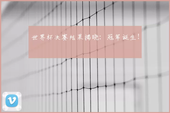 世界杯决赛结果揭晓：冠军诞生！