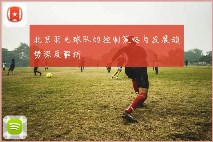北京羽毛球队的控制策略与发展趋势深度解析