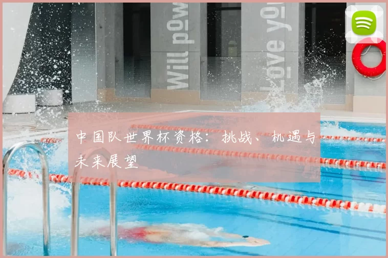 中国队世界杯资格:挑战、机遇与未来展望