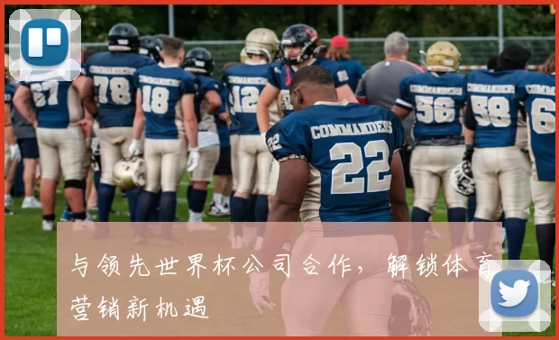 与领先世界杯公司合作，解锁体育营销新机遇